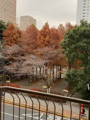 a view of a park with trees with autumn leaves at \u798f\u5c4b\u4e00\u756a\u9928 in Tokyo