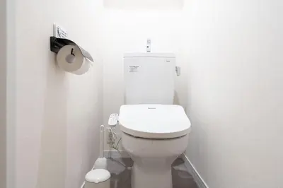 a bathroom with a white toilet in a room at \u30cf\u30a4\u30ea\u30fc\u30d5\u829d\u5927\u9580 in Tokyo