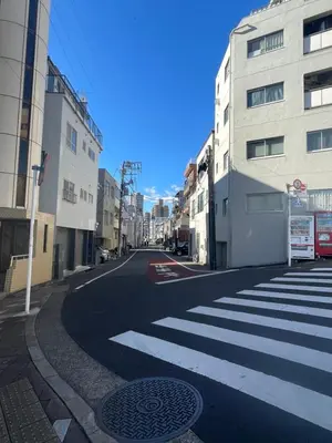 an empty street with a crosswalk in a city at \u6c60\u888b\u5de3\u9d28\u30cf\u30a6\u30b9\u4e00\u68df\u4e38\u3054\u3068\u8cb8\u5207\u308aIkebukuro Sugamo House-Private Entire Building in Tokyo