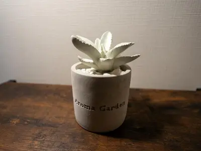 a plant in a paper cup sitting on a table at Cozy Vintage Studio Asakusa Skytree Ueno Akihabara in Tokyo