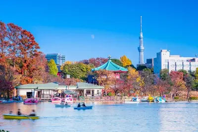 a group of people in boats on the water in a park at \u53f0\u6771\u533a\u53f0\u6771\u3067\u5feb\u9069\u306a\u5bbf\u6cca\u3092\u6d45\u8349 \u4e0a\u91ce\u89b3\u5149\u306e\u62e0\u70b9\u306b 201 in Tokyo