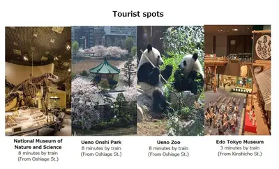 a collage of pictures of animals at a zoo at TOKYO SKYTREE Cat house \u62bc\u4e0a\u99c5\u5f92\u6b696\u5206 \u6d45\u8349 in Tokyo