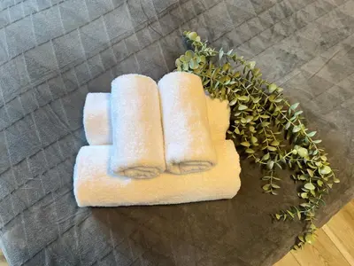 two towels sitting on a table with a plant at Ikebukuro Area 2 Units NishiikeApartment in Tokyo