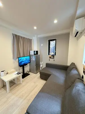 a living room with a couch and a television at W-inns Asakusabashi in Tokyo