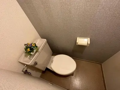 a bathroom with a toilet with a bouquet of flowers on it at Jr\u5c71\u6c34\u7ebf \u99d2\u8fbc\u8f66\u7ad93\u5206\u949f \u76f4\u8fbe\u65b0\u5bbf\u6d89\u8c37\u6c60\u888b\u4e0a\u91ce\u79cb\u53f6\u539f Max5 in Tokyo
