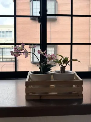 two white pots with flowers on a table in front of a window at Mark\u7684\u5c0f\u5ca9\u6c11\u5bbf in Tokyo