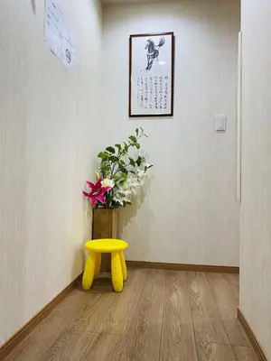 Gallery image of Luxury Ikebukuro Wi-fi Room 101 in Tokyo