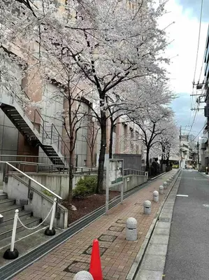 Gallery image of Luxury Ikebukuro Wi-fi Room 101 in Tokyo