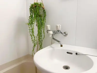 a bathroom with a white sink and a plant on the wall at \u65b0\u5bbf\u6700\u4e2d\u5fc3 \u6b4c\u821e\u4f0e\u753a \u4e1c\u65b0\u5bbf5\u5206 \u65b0\u5bbf9\u5206 \u6700\u591a4\u4eba \u76f4\u8fbe\u6e0b\u8c37\u539f\u5bbf\u4e0a\u91ce\u79cb\u8449\u539f in Tokyo