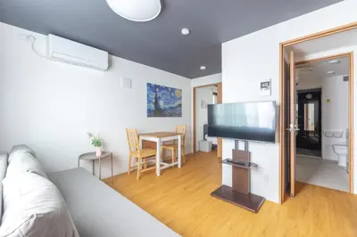 a living room with a couch and a flat screen tv at 67 Apt Waseda Shinjuku in Tokyo