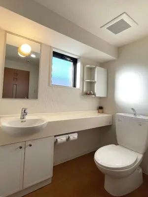 a bathroom with a white toilet and a sink at #5 WiFi無料&東新宿4分!歌舞伎町のホテルライク清潔部屋! in Tokyo