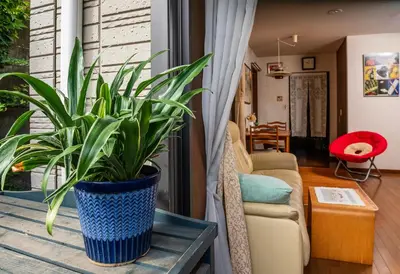 a potted plant sitting on a table in a living room at GP House in Tokyo