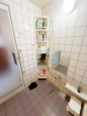 a bathroom with a toilet and a sink and a mirror at \u70df\u96e8\u8f69 303 in Tokyo