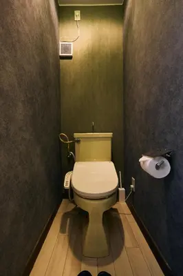 a bathroom with a toilet and a roll of toilet paper at NATURE BASE TOKYO Horikiri in Tokyo