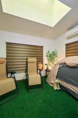 a bedroom with green carpet and two chairs and a bed at NATURE BASE TOKYO Horikiri in Tokyo