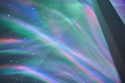 an image of the northern lights in the sky at NATURE BASE TOKYO Horikiri in Tokyo
