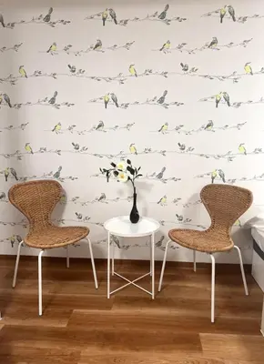 two chairs and a table in front of a wall with birds at Forest Guest House Shinjuku city center in Tokyo