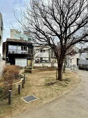 a tree in a park next to a building at Bright Park House in central Tokyo in Tokyo
