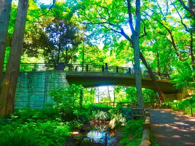 a bridge in a park with a person walking on it at Sakura House Meguro in Tokyo