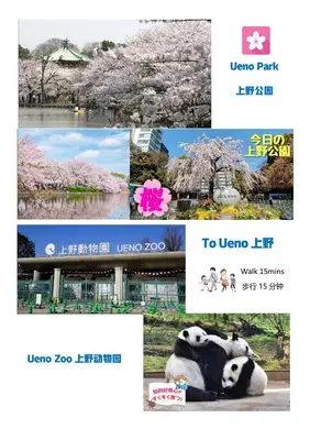 a collage of photos with a panda and cherry trees at \u548c\u306e\u5bbf\u30db\u30c6\u30ebYamatoinn Akihabara#201 in Tokyo