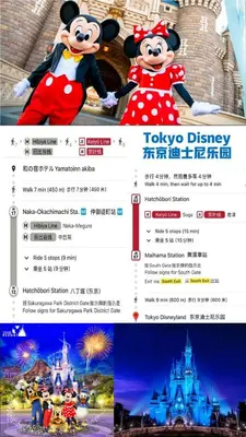 a page of a website with mickey mouse and the magic kingdom at \u548c\u306e\u5bbf\u30db\u30c6\u30ebYamatoinn Akihabara#201 in Tokyo