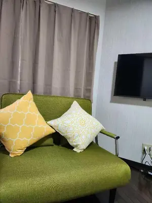 two pillows sitting on a green couch with a television at \u5409\u5c4b-\u65b0\u5bbf in Tokyo