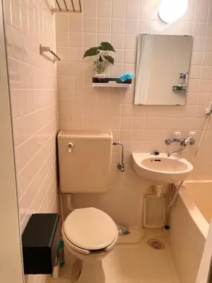 a bathroom with a toilet and a sink at Toyo Shinagawa in Tokyo