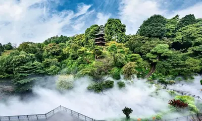 a view of a forest with smoke coming out of it at MY House YANESEN Tokyo in Tokyo