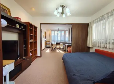 a bedroom with a bed and a flat screen tv at live in Onsen in Tokyo