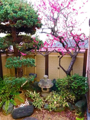a garden with a fountain and a tree with pink flowers at \u65b0\u5bbf \u65b0\u5927\u4e45\u4fdd\u99c5108 \u5e73\u7c73\u65e5\u672c\u5ead\u5712\u306e\u5bbf in Tokyo