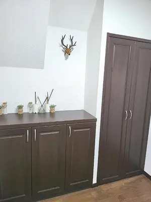a room with brown cabinets and a antlers on the wall at Holiday Anytel Shinjuku#3 in Tokyo