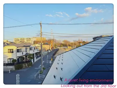 a group of birds on the roof of a building at Hao Bros Home Gemini A in Tokyo