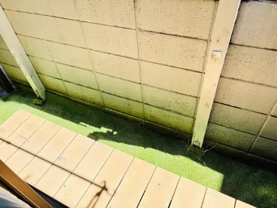 a corner of a house with a wall and grass at \u6c60\u888b\u99c5\u5f92\u6b69OK \u65b0\u5bbf\u99c524\u5206 \u6771\u4eac\u306e\u89b3\u5149\u540d\u6240\u3078\u306e\u30a2\u30af\u30bb\u30b9\u826f\u597d NINJA\u5c4b\u6577\u306e\u6587\u5316\u4f53\u9a131k in Tokyo