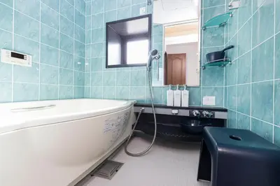 a bathroom with a tub and a toilet and a mirror at Residence Akasaka Comfort in Tokyo