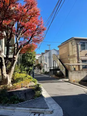 a tree with red leaves on a street with buildings at \u5927\u4eba\u6c17\u30a8\u30ea\u30a2\u65b0\u5bbf\u307e\u3067\u96fb\u8eca4\u5206 Jr\u6771\u4e2d\u91ce\u99c5\u5f92\u6b696\u5206 \u5927\u4e45\u4fdd\u99c5\u5f92\u6b6910\u5206 \u6700\u59275\u540d\u69d8 \u304a\u8377\u7269\u9810\u53ef in Tokyo