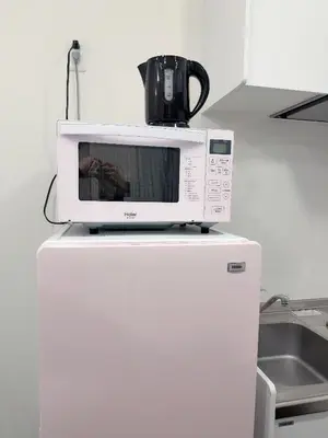 a microwave sitting on top of a refrigerator at Ueno Rose in Tokyo