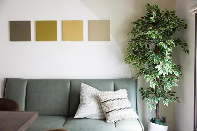 a living room with a green couch and two plants at \u548c\u6c23\u4f1a\u3005\u6d45\u8349\u6a4b Wakiaiai Asakusabashi in Tokyo