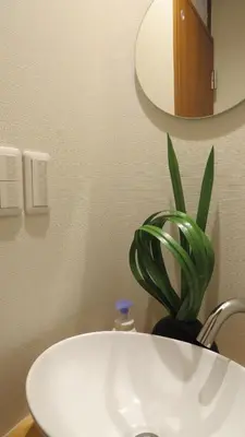 a bathroom with a white sink and a potted plant at Y's INN Ikebukuro 013T in Tokyo