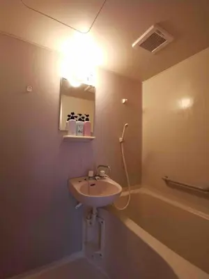 a bathroom with a sink and a bath tub at \u4e09\u30ce\u8f2a101 in Tokyo