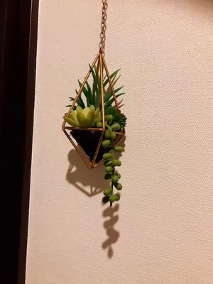 a plant hanging from a chain on a wall at \u4e09\u30ce\u8f2a401 in Tokyo