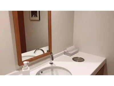a bathroom with a sink and a mirror at First Cabin Ichigaya 