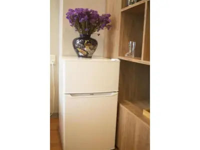 a refrigerator with a vase on top of it at MIYAVI hotel - Vacation STAY 75522v in Tokyo