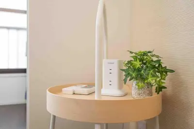 a table with a speaker and a plant on it at W Haus \u6771\u4eac\u6674\u7a7a\u5854\u8def\u7a0b3\u5206 \u6d45\u8349\u5bfa\u8def\u7a0b10\u5206 \u8d85\u5927\u7a7a\u95f4\u72ec\u680b\u522b\u5885 \u6700\u591a11\u4f4d\u5165\u4f4f in Tokyo