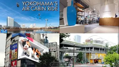 a collage of photos with a dog on a building at MINE HOME\u6771\u4e2d\u91ce 116t in Tokyo