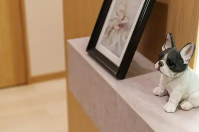 a small dog sitting on a counter next to a picture at MINE HOME\u6771\u6c60\u888b 117t in Tokyo