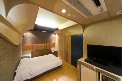 a small room with a bed and a flat screen tv at International Hotel Kabukicho in Tokyo