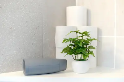 a plant in a vase sitting on a counter at Jessica House in Tokyo