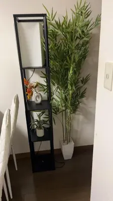 a black shelf with a mirror and a plant at 22\u89c2\u666f\u9633\u53f0\u623f \u5927\u7a7a\u95f4\u536b\u6d74\u53a8\u623f \u6d17\u8863\u673a \u8f66\u7ad9\u6b65\u884c3\u5206\u949f \u4e0a\u91ce \u6d89\u8c37 \u8fea\u58eb\u5c3c \u673a\u573a \u5750\u8f66\u76f4\u8fbe in Tokyo