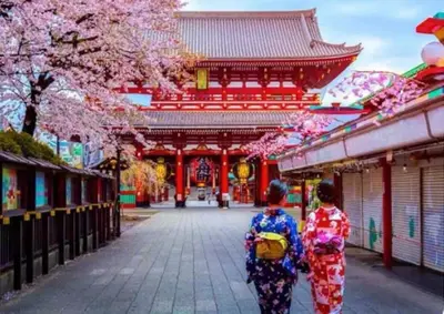 two women in kimonos walking down a street in a temple at 22\u89c2\u666f\u9633\u53f0\u623f \u5927\u7a7a\u95f4\u536b\u6d74\u53a8\u623f \u6d17\u8863\u673a \u8f66\u7ad9\u6b65\u884c3\u5206\u949f \u4e0a\u91ce \u6d89\u8c37 \u8fea\u58eb\u5c3c \u673a\u573a \u5750\u8f66\u76f4\u8fbe in Tokyo