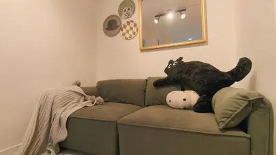 a black cat laying on a pillow on a couch at Stunning luxury APT with balcony in Tokyo Shinjuku Kabukicho in Tokyo